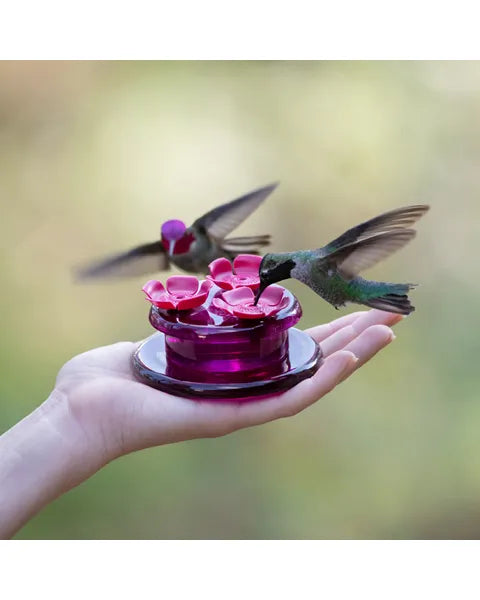 MANGEOIRE À COLIBRIS PORTATIF