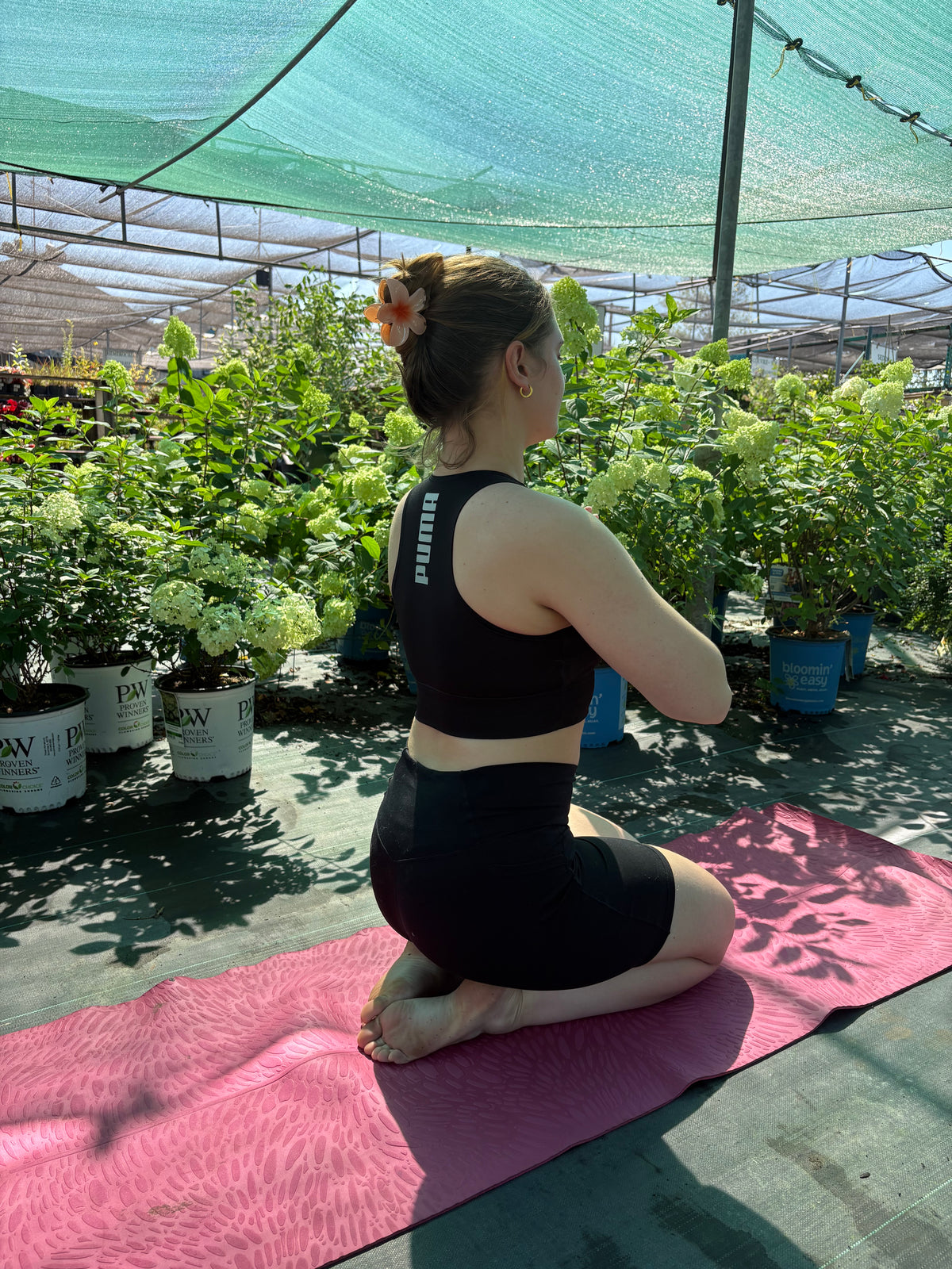 Yoga parmi les plantes