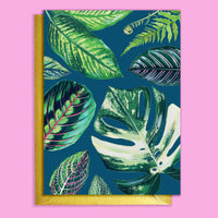 CARTE DE VOEUX - PLANTES D`INTERIEUR MIXTES BLEU MARINE