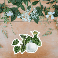 AUTOCOLLANT - PLANTE D'INTÉRIEUR