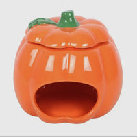 FONDANT À CIRE EN FORME DE CITROUIILE