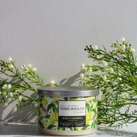 CHANDELLE - ALOÈS ET CARAMBOLE