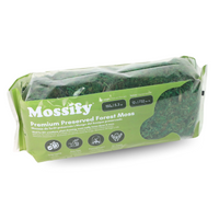 MOUSSE DE FORÊT STABILISÉE DE QUALITÉ SUPÉRIEURE