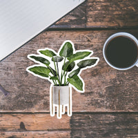 AUTOCOLLANT - PLANTE D'INTÉRIEUR