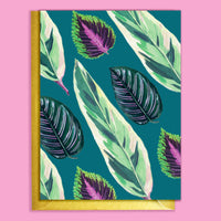 CARTE DE VOEUX - PLANTES D`INTERIEUR MELANGEES SARCELLE