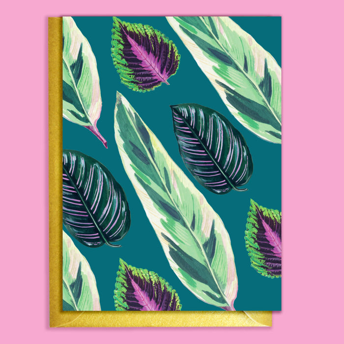 CARTE DE VOEUX - PLANTES D`INTERIEUR MELANGEES SARCELLE