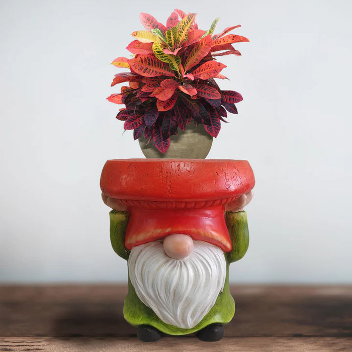 SUPPORT POUR PLANTES - SHY GNOME