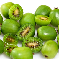 ACTINIDIA ARGUTA - ISSAI (BIOLOGIQUE)