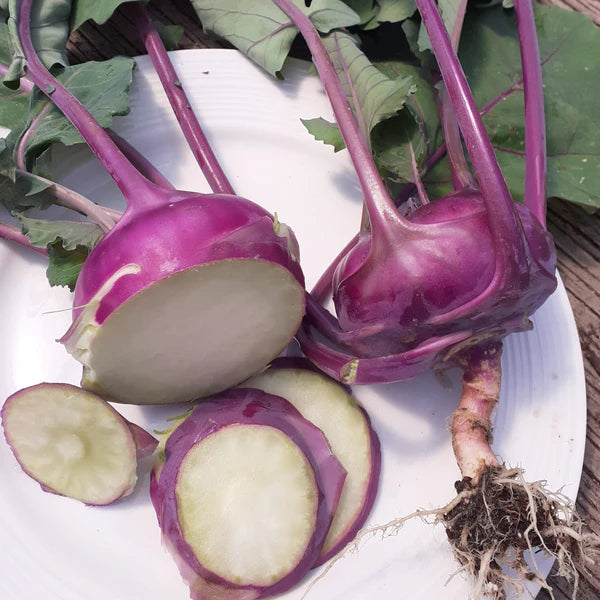 SEMENCES DE LEGUMES BIO: CHOU RAVE - AZUR STAR