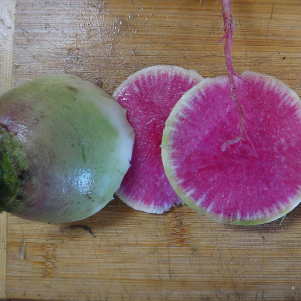 SEMENCES DE LEGUMES BIO: RADIS - MELON D EAU