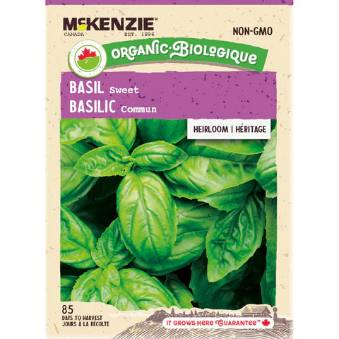 SEMENCES DE FINES HERBES BIO: BASILIC - SWEET