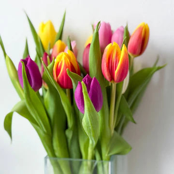 BOUQUETS DE 10 TULIPES POUR PÂQUES