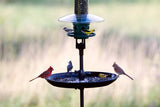 PLATEAU RÉCUPÉRATEUR DE NOURRITURE SEED BUSTER- REQUIERT LE POTEAU SIMPLE BIRDS UPMC