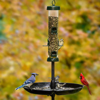 PLATEAU RÉCUPÉRATEUR DE NOURRITURE SEED BUSTER- REQUIERT LE POTEAU SIMPLE BIRDS UPMC