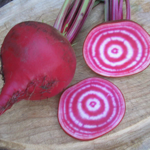 SEMENCES DE LEGUMES BIO: BETTERAVE - CHIOGGIA