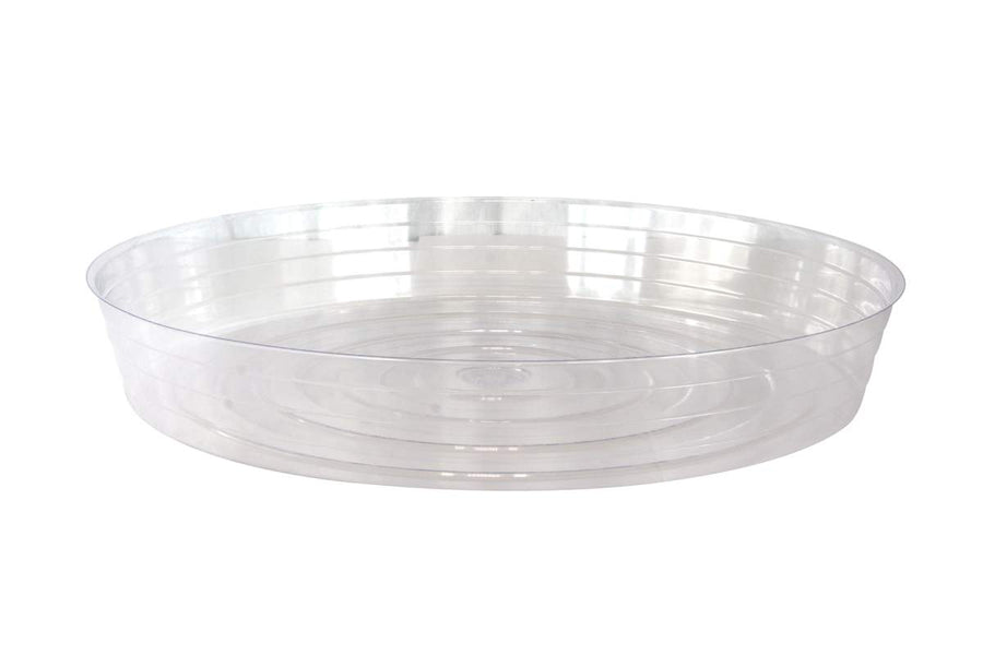 TRANSPARENT SAUCER 21 IN