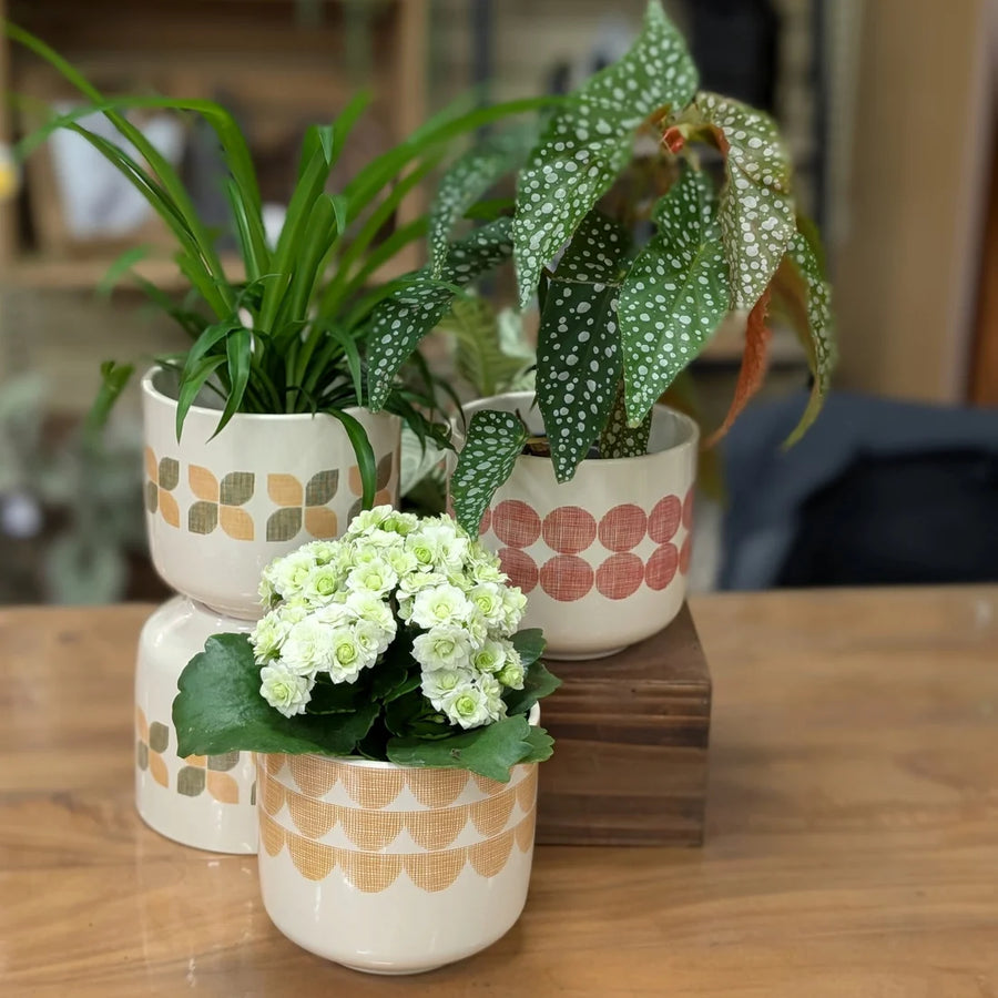 BARI NEW RETRO CERAMIC PLANTER 13 CM