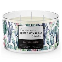 CHANDELLE - CACTUS BLOSSOM