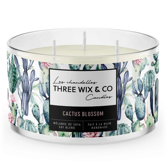 CHANDELLE - CACTUS BLOSSOM