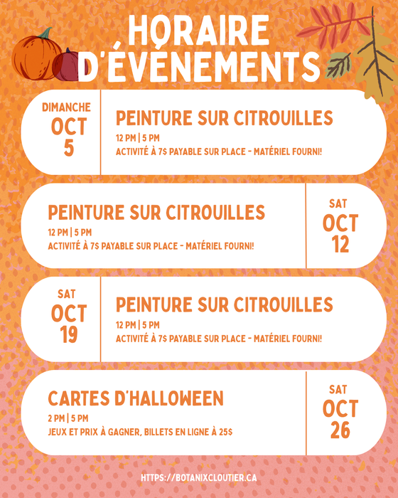 PEINTURE SUR CITROUILLE