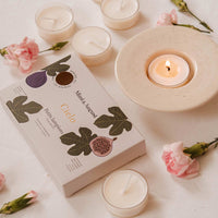 CIELO SET 6 MINI BOUGIES TEALIGHT AMBIANCE COZY MAISON 5H