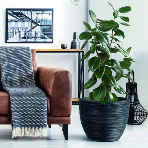 PROSPERPLAST FURU POT