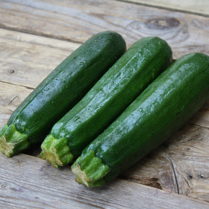 SEMENCES BIOLOGIQUES: COURGETTE DARK GREEN