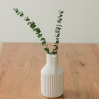 EUCALYPTUS PRÉSERVÉ - TIGES MOYENNES