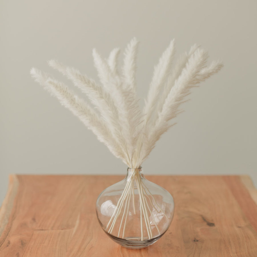 MINI PAMPA FEATHERS