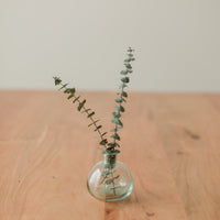 PETITES TIGES PRÉSERVÉES