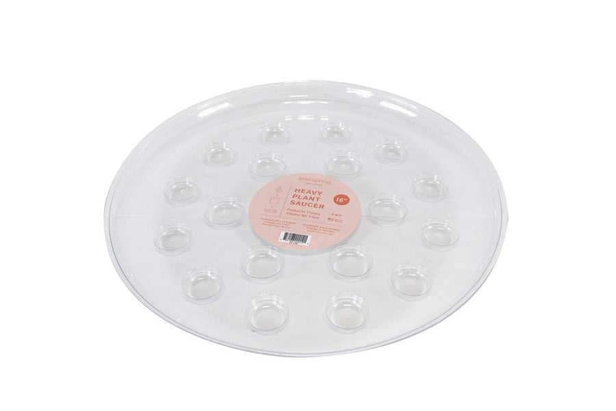 SOUCOUPE RIGIDE RONDE TRANSPARENTE