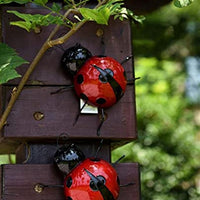 COCCINELLE DECORATIVE