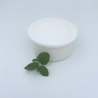 SAVON SOLIDE VAISSELLE