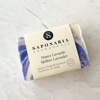 SAVON SAPONARIA - EDITION LIMITE