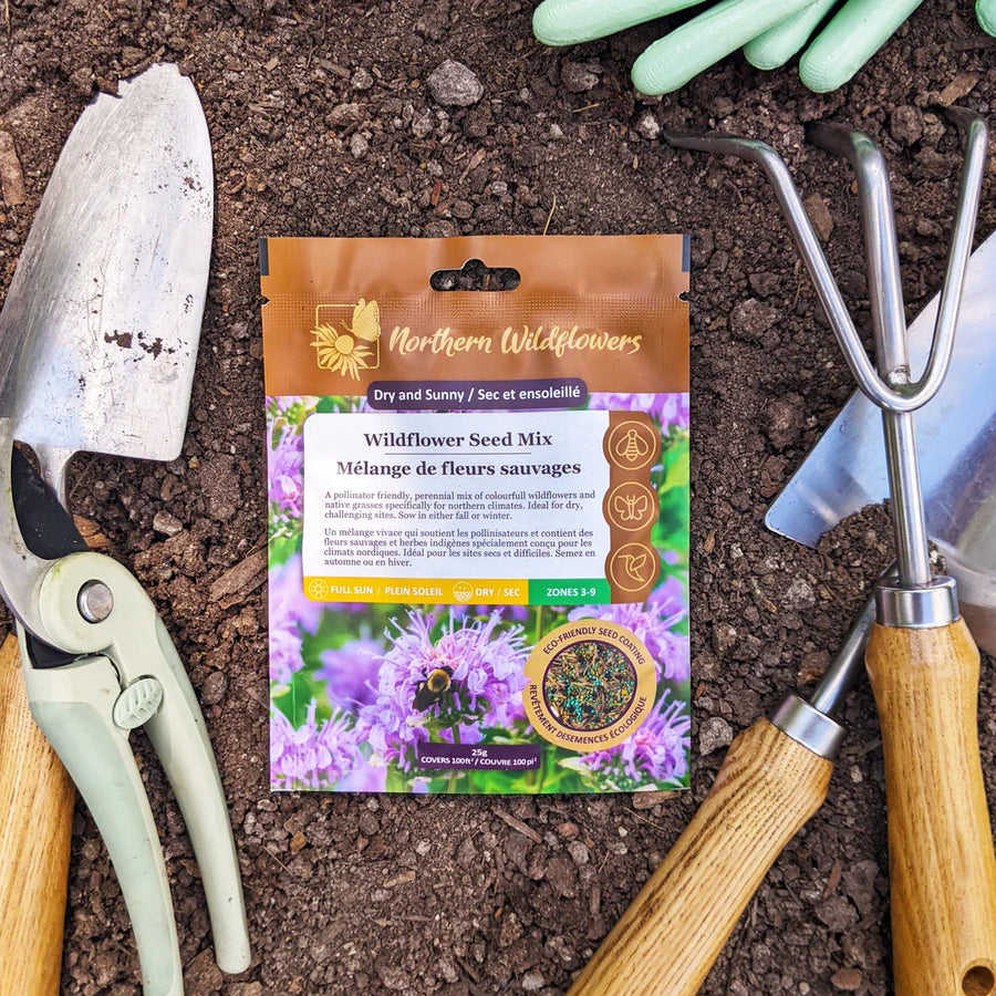 FLOWER SEEDS: WILD FLOWER MIX / DRY SUN