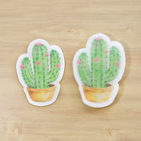 EPONGE CACTUS QUI SE DEPLIE AU CONTACT DE LEAU SOLUTION NATURELLE ET COMPOSTABLE POUR VAISSELLE ET SURFACES