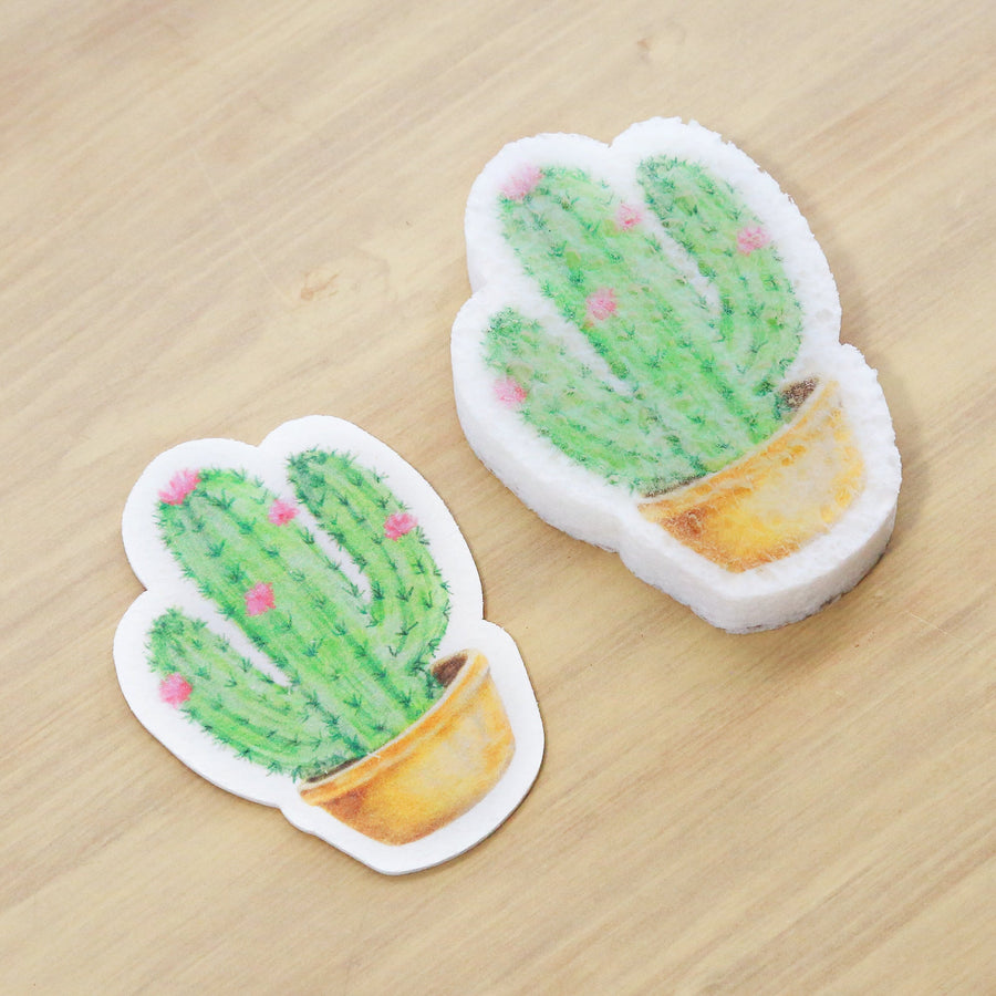 EPONGE CACTUS QUI SE DEPLIE AU CONTACT DE LEAU SOLUTION NATURELLE ET COMPOSTABLE POUR VAISSELLE ET SURFACES