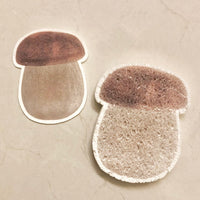 EPONGE CHAMPIGNON GONFLANTE AU CONTACT EAU COMPOSTABLE FSC