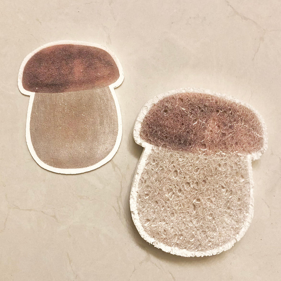 EPONGE CHAMPIGNON GONFLANTE AU CONTACT EAU COMPOSTABLE FSC