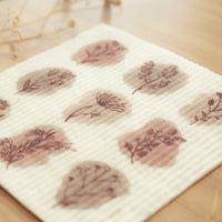 BROWN BOTANICAL SPONGE CLOTH REMPLACE 17 PAPIER ROULEAUX