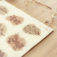 BROWN BOTANICAL SPONGE CLOTH REMPLACE 17 PAPIER ROULEAUX