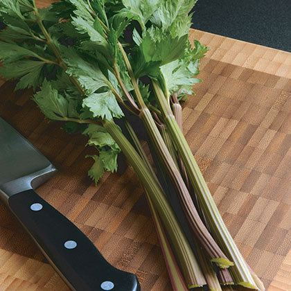 CELERI - PEPPERMINT STICK