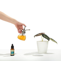 PROBIOTIQUES POUR PLANTES BIOS - ÉLIMINENT LES MALADIES ET NOURRISENT LES PLANTES