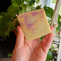 SULTAN COCONUT MILK SOAP PEACH BELLINI EXTRA-NOURISHING ULTRA-CREAMY ENHANCED
