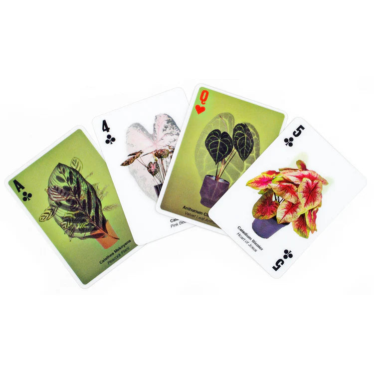 3D PLANT CARD GAME IMMERSIVE BOTANICAL EXPERIENCE