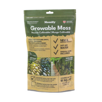 MÉLANGE DE MOUSSES BORÉALES INDIGÈNES CULTIVABLES POUR ZONES ENSOLEILLÉES