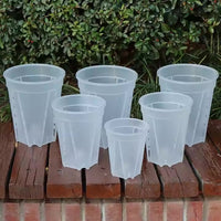 POT HAUT ET TRANSPARENT AVEC DRAINAGE LATÉRAL ET PAR LE FOND