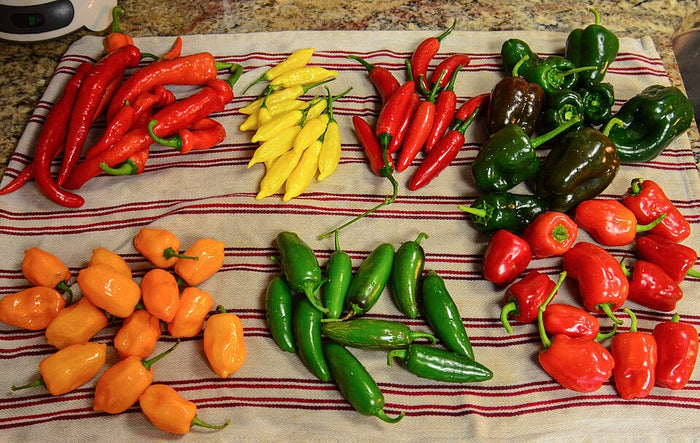 PIMENT - HOT PORTUGAL