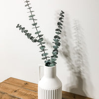 EUCALYPTUS PRÉSERVÉ - TIGES MOYENNES