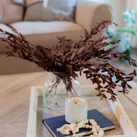 BOUQUET D'EUCALYPTUS PRÉSERVÉ